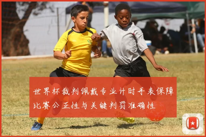 世界杯裁判佩戴专业计时手表保障比赛公正性与关键判罚准确性